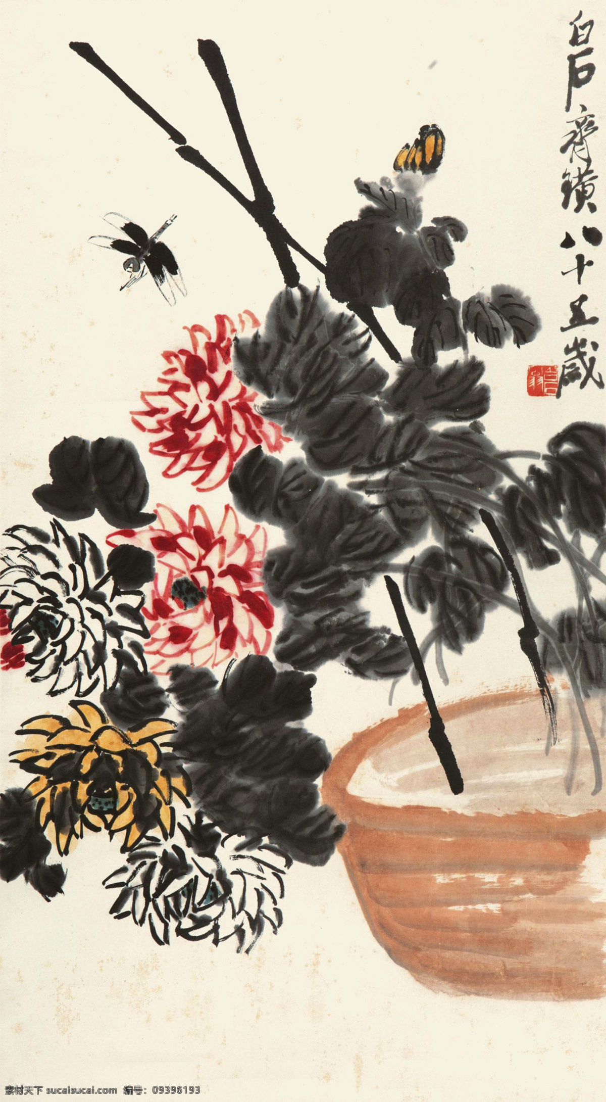 国画 蝴蝶 花卉 绘画书法 菊花 齐白石 文化艺术 菊花设计素材 菊花模板下载 延年 菊寿 寿菊 红菊 国画齐白石