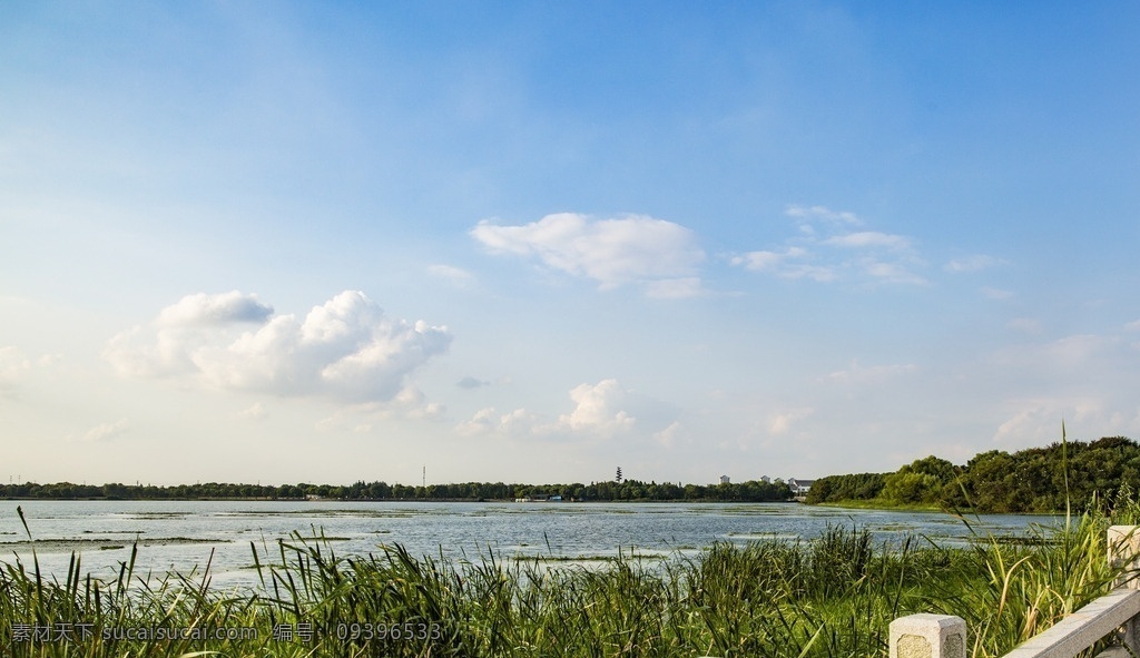 巴 城阳 澄湖 风光 阳澄湖风光 巴城旅游 昆山巴城 阳澄湖旅游 江南水乡 巴城湖景 休闲度假旅游 旅游摄影 国内旅游