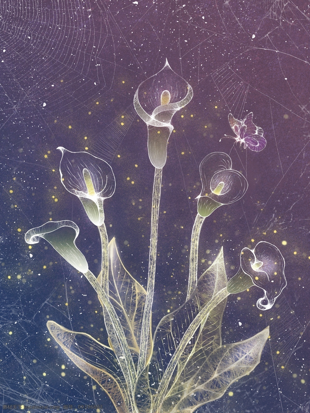 原创 独特 透明 质感 马蹄 莲花 插画 透明感 独特透明感 小林范之 马蹄莲 海报 蝴蝶