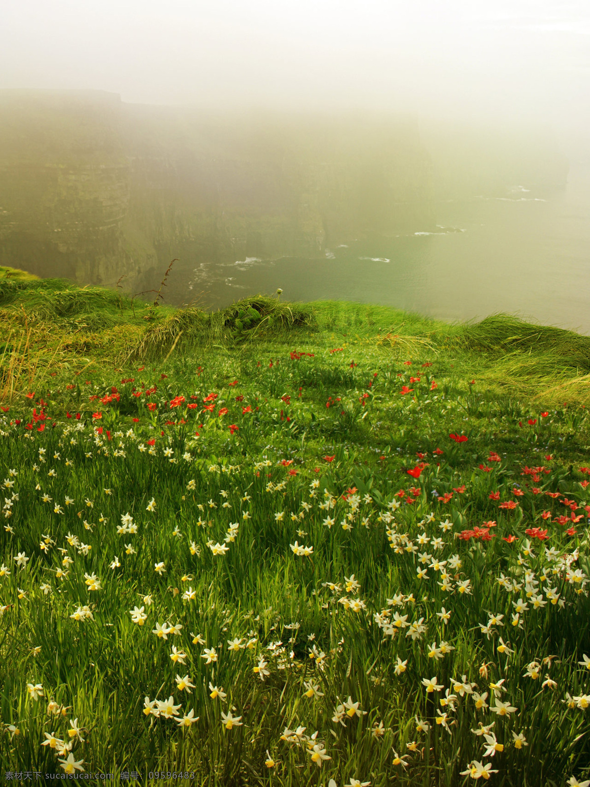 美丽 风景 摄影图片 美丽风景 自然风景 自然景观 自然风景系列 花海 花 草原 绿色 山水风景 风景图片