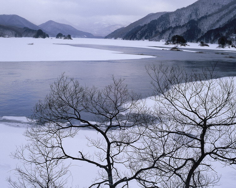 白雪 天堂 白色 天气 白雪天地 雪雾 psd源文件