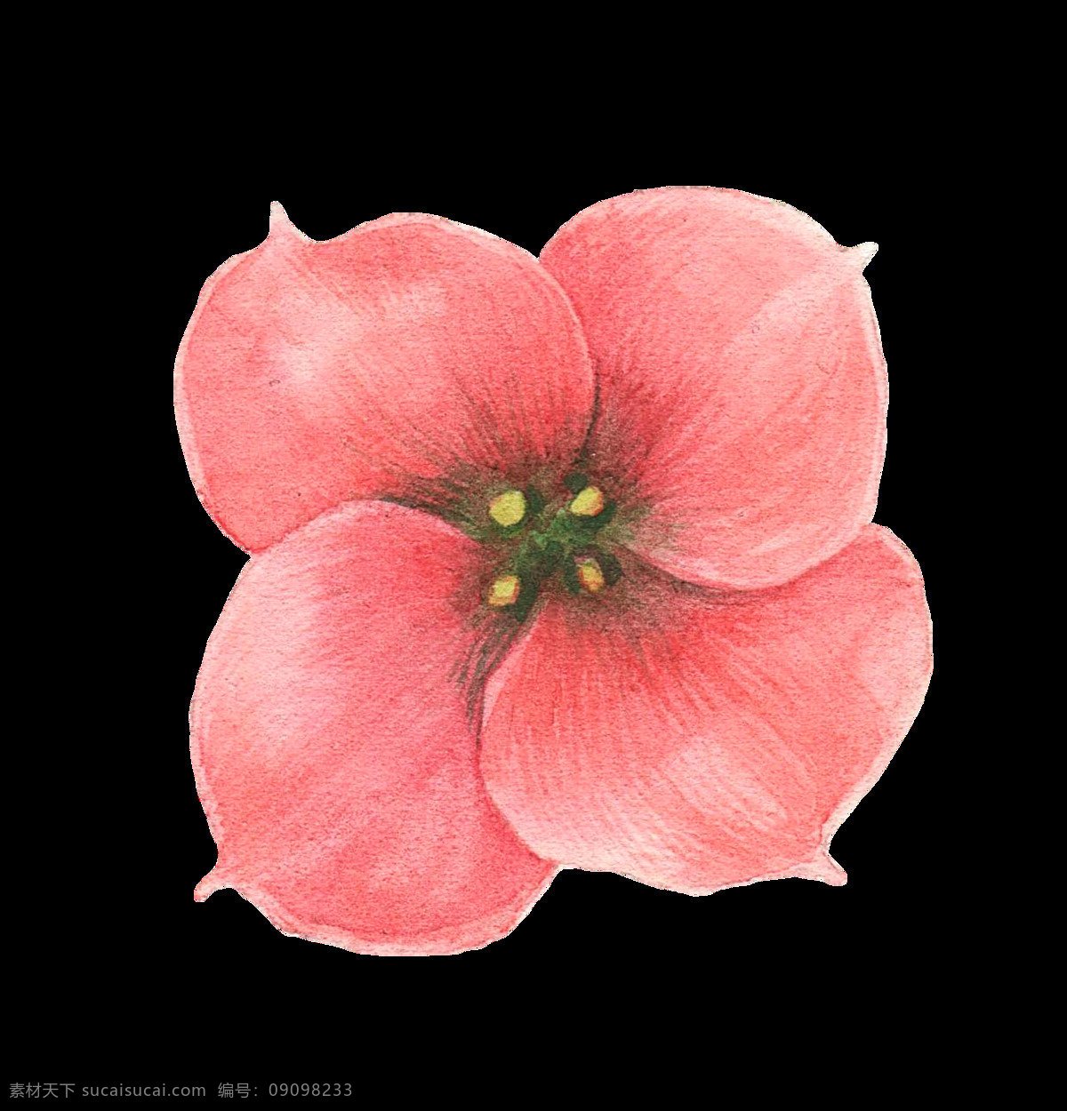 手绘 爱 心形 花瓣 花 透明 水彩 红色 黄色 四片花瓣 免扣素材 透明素材 装饰图案
