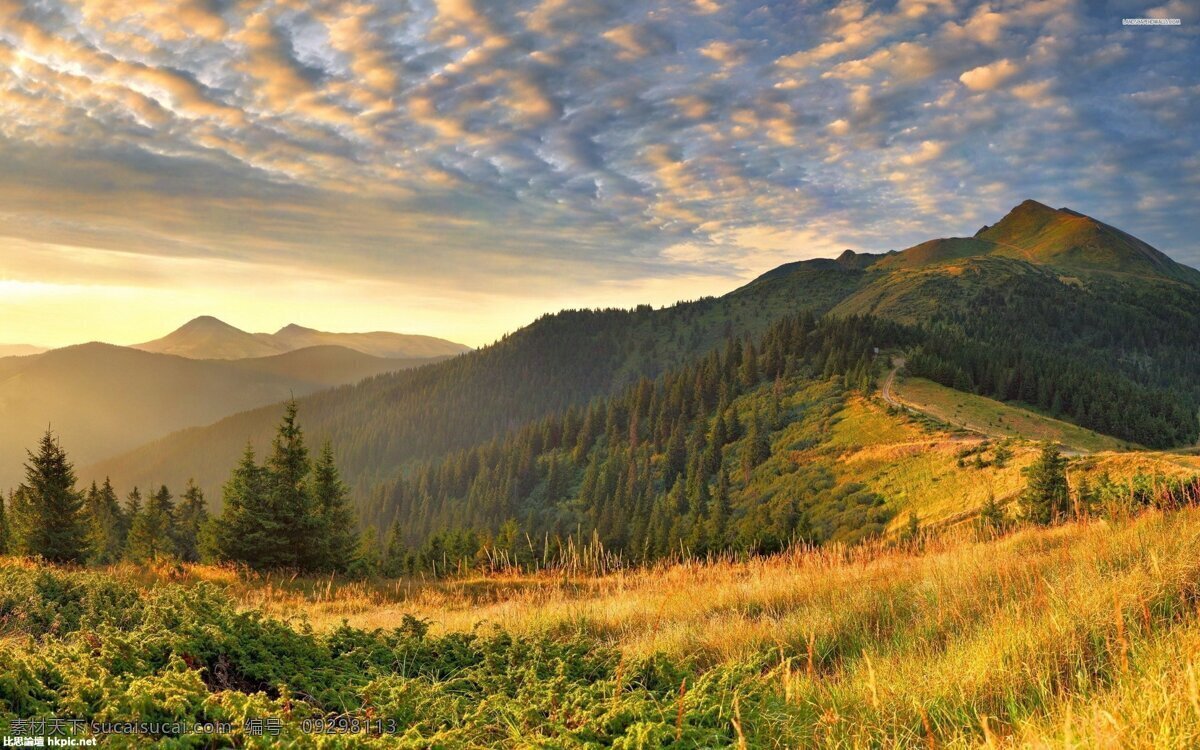 唯美风光 云 群山 树林 草地 野草 自然风景 自然景观