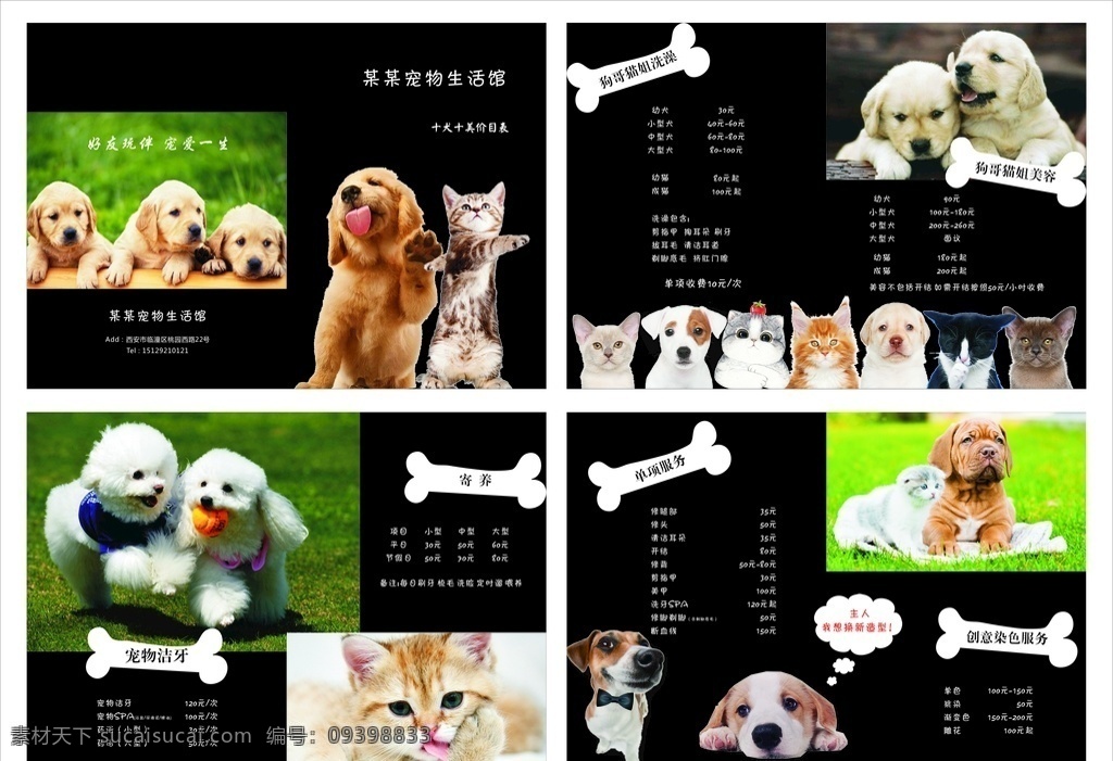 宠物店价目表 宠物 狗 宠物店 宠物店素材 猫 骨头 价目表 宠物价目表 宠物素材 狗素材