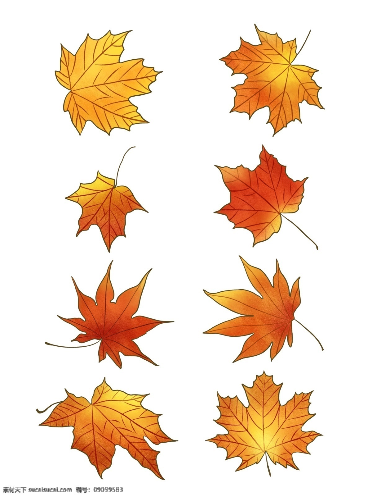 秋季枫叶素材 秋季素材 秋天素材 元素 树叶 黄色 手绘素材 卡通素材 儿童素材 枫叶