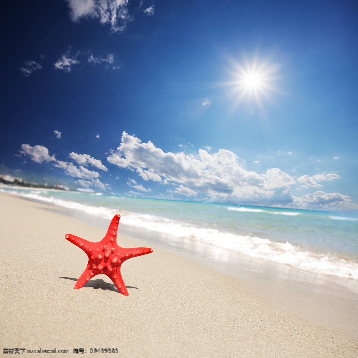 海星图片素材 沙滩 海边 海星 蓝色大海 海浪 白云 阳光照射