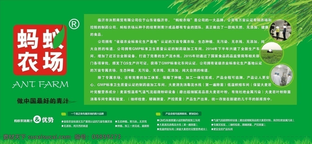 蚂蚁农场简介 蚂蚁 农场 公司简介 绿色 背景 展板 青汁 大麦若叶 展板模板