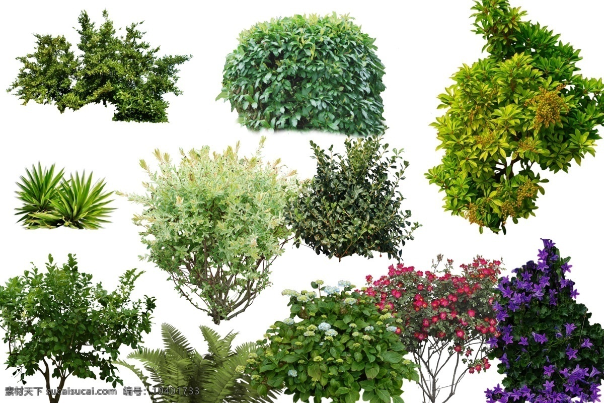 园林草丛 透明素材 png抠图 园林 园艺 草丛 草堆 灌木 灌木丛 灌木林 花丛 花束 非 原创 透明 合 辑 分层
