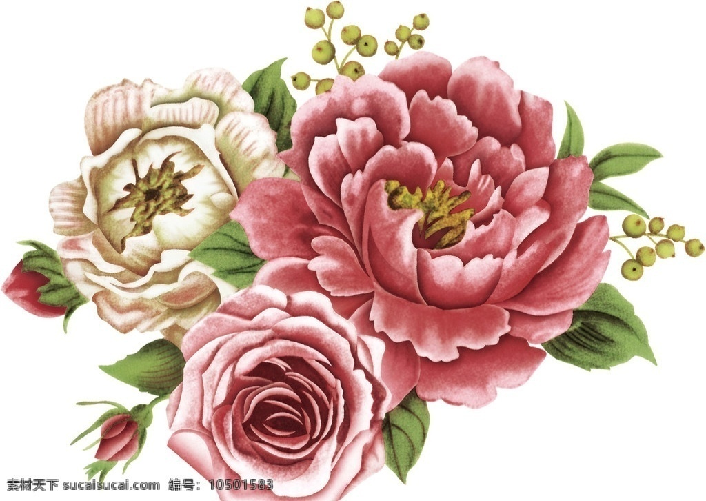 粉 玫瑰 通道 分层 粉玫瑰 油画玫瑰 油画 粉白玫瑰 花芯 白玫瑰 红玫瑰 美术绘画 植物 绿叶 专业 设计元素 源文件
