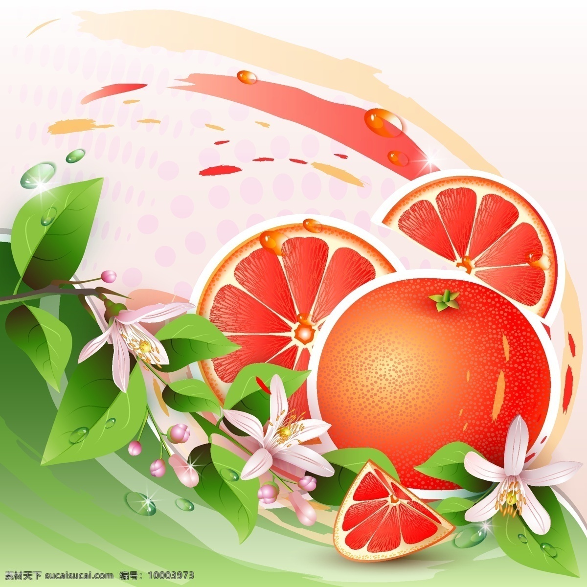 卡通橙子 橙子 卡通 血橙 花草 矢量素材 水果 生活百科