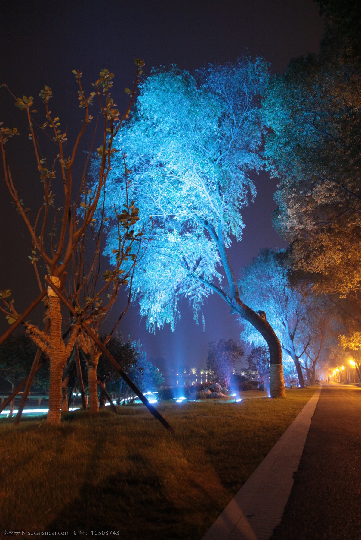 南京 玄武湖 led 照明 亮化 工程 建筑 建筑景观 建筑亮化 建筑照明设计 led夜景 led灯光 led照明 led亮化 夜景照明 环境设计 景观 景观亮化 景观照明 园林 园林亮化 楼体亮化 亮化效果 亮化工程 夜景 灯光 灯光树 夜景树 照明工程 摄影集 建筑摄影 建筑园林