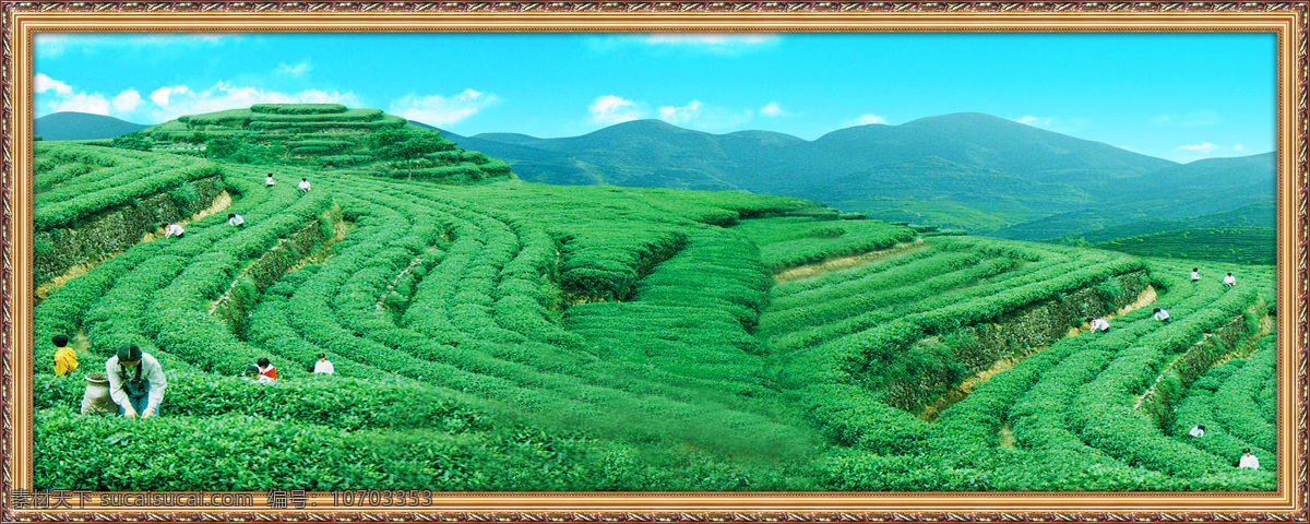 茶山 画册设计 设计图库 茶山1 其他画册封面