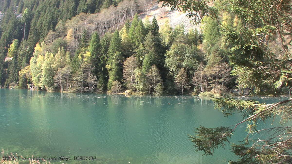 湖 瑞士 股票 录像 场景 风景 绿色 美丽 山 视频免费下载 树 水 其他视频