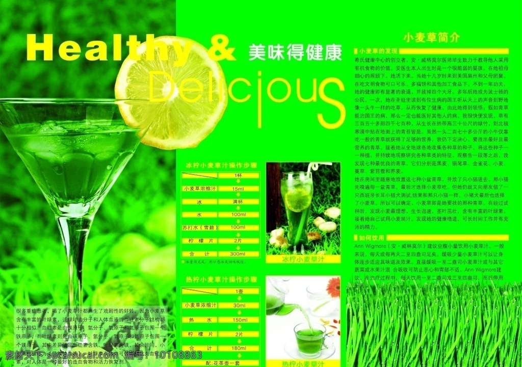 小麦草汁 小麦 麦子 汁 绿色 源文件 dm宣传单 矢量