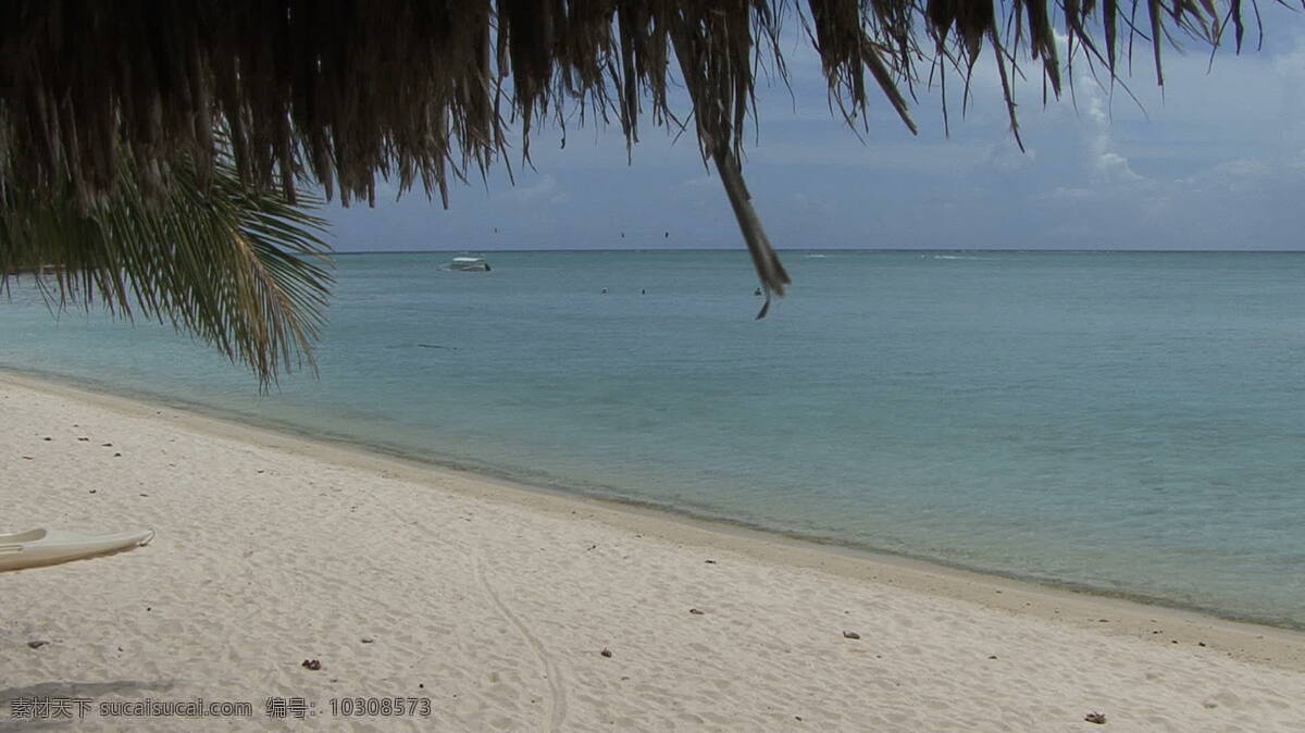 波拉 泻湖 海滩 股票 录像 海 海湾 棕榈树 波拉波拉岛 法属波利尼西亚 太平洋 岛屿 热带 海洋 水 棕榈 视频 其他视频
