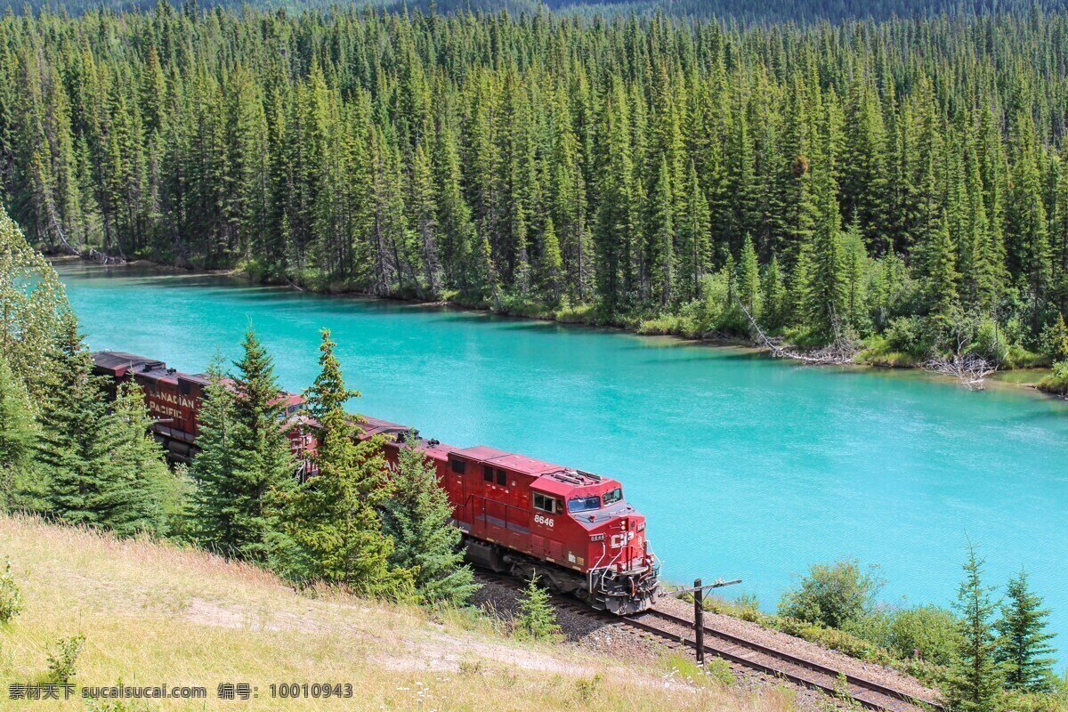 森林火车 火车 河 班夫 加拿大 森林 山 交通 铁路 运输 老火车 自然景观 山水风景