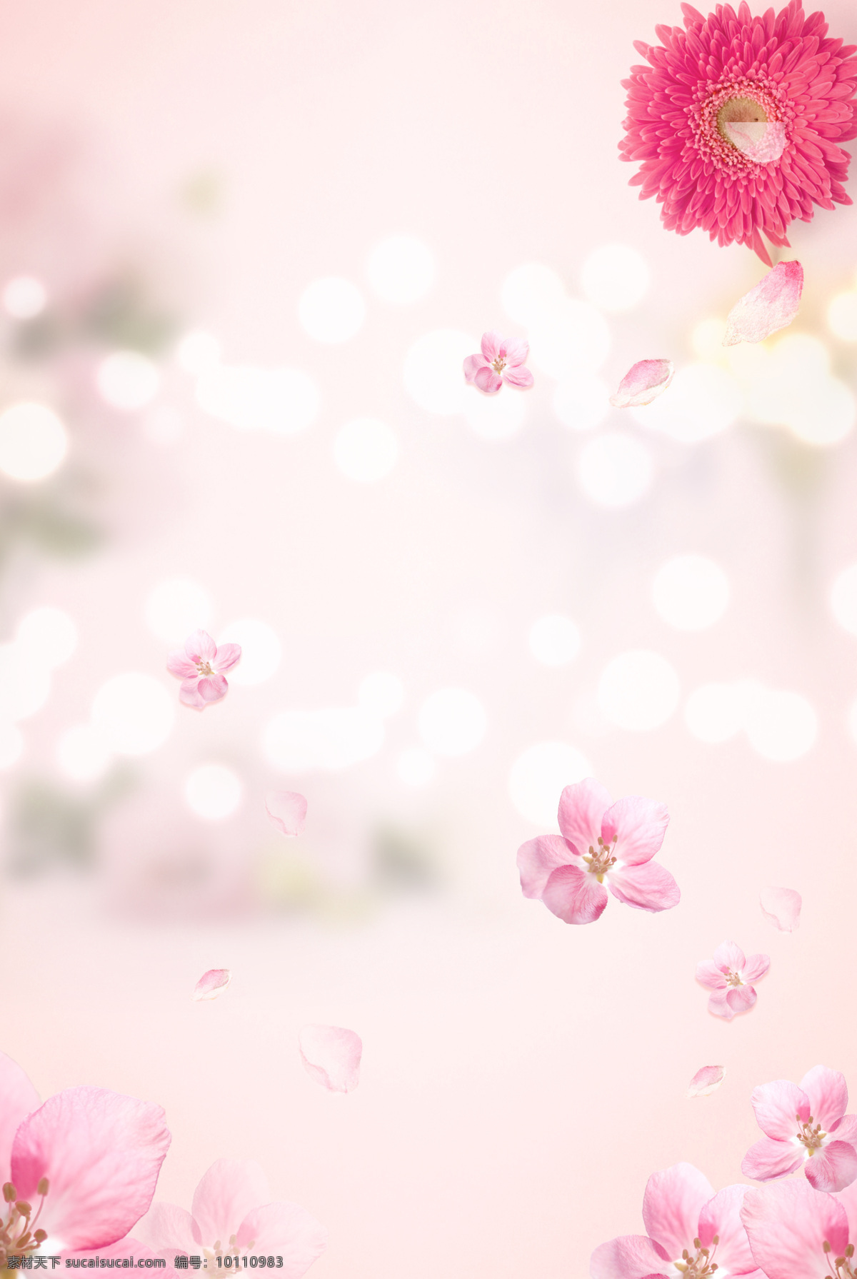 粉色 光斑 花瓣 花朵 浪漫 情人 情人节 小清新 背景