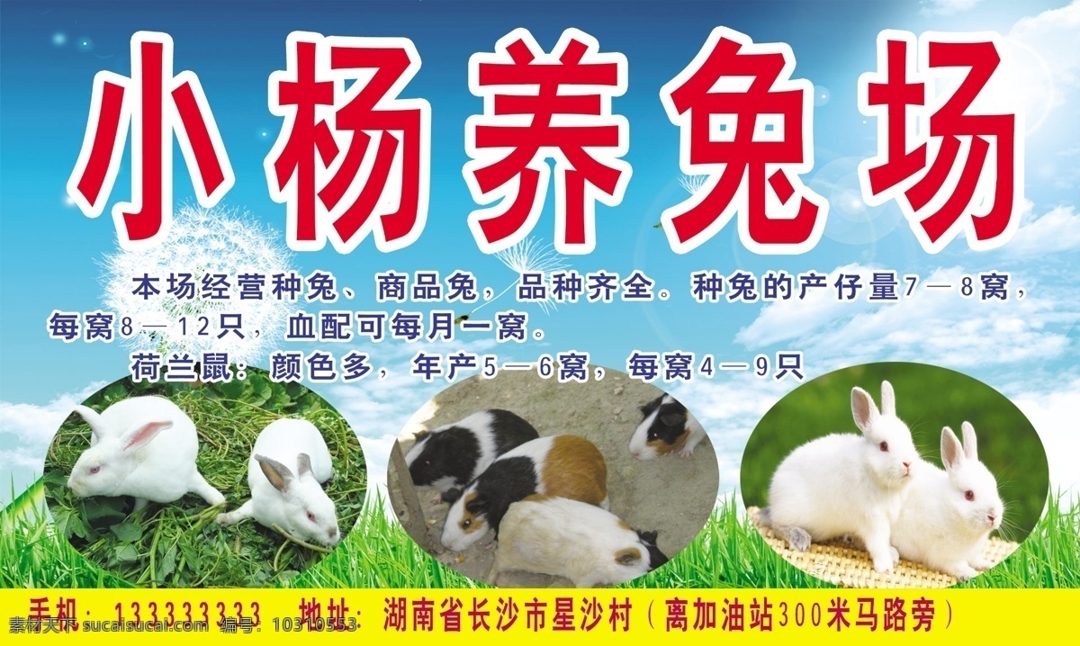 养兔场 养兔 招牌 兔场 国内广告设计 广告设计模板 源文件