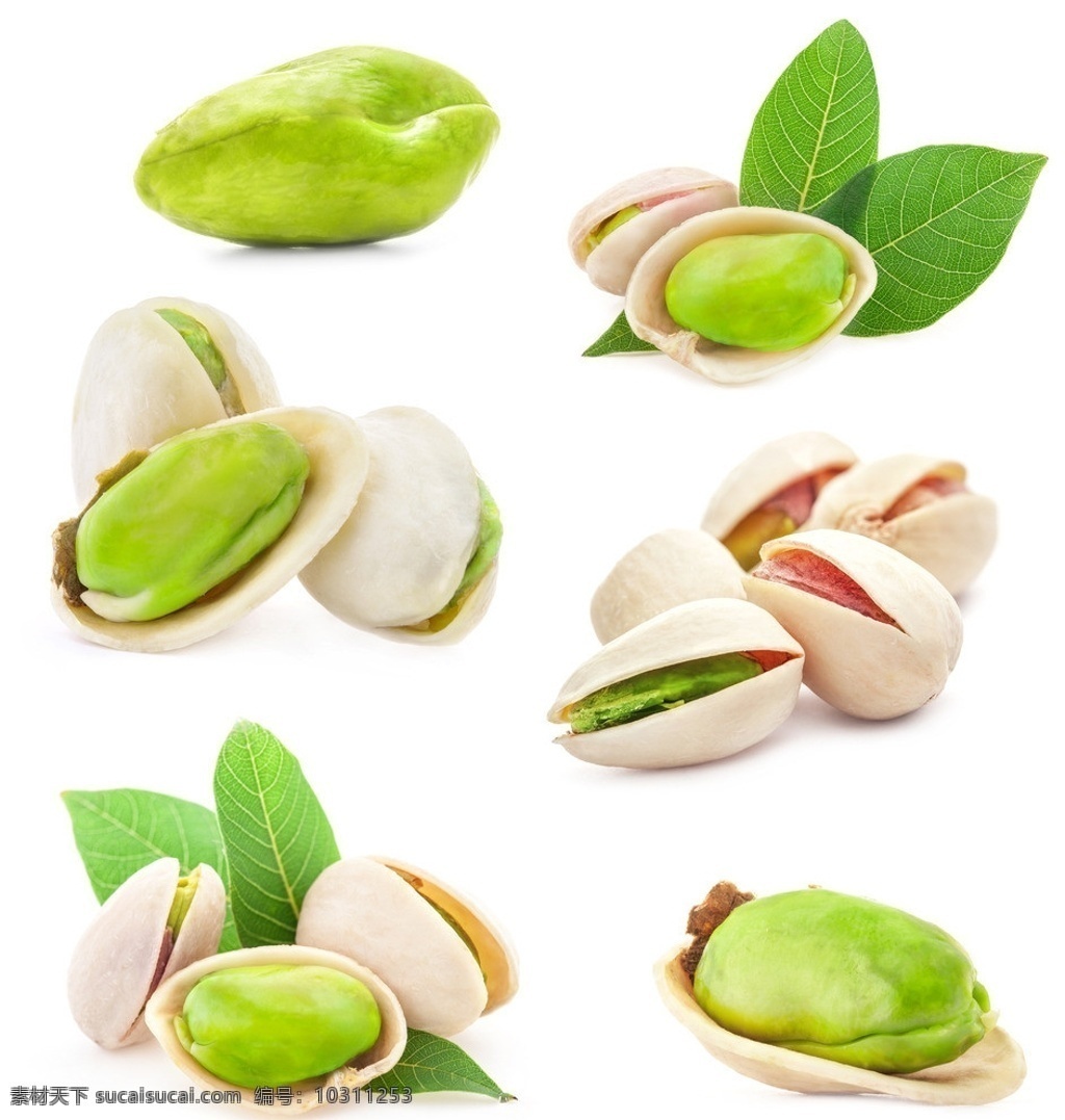 开心果 干果 果仁 健脑 绿叶 食品 传统美食 餐饮美食 生物世界