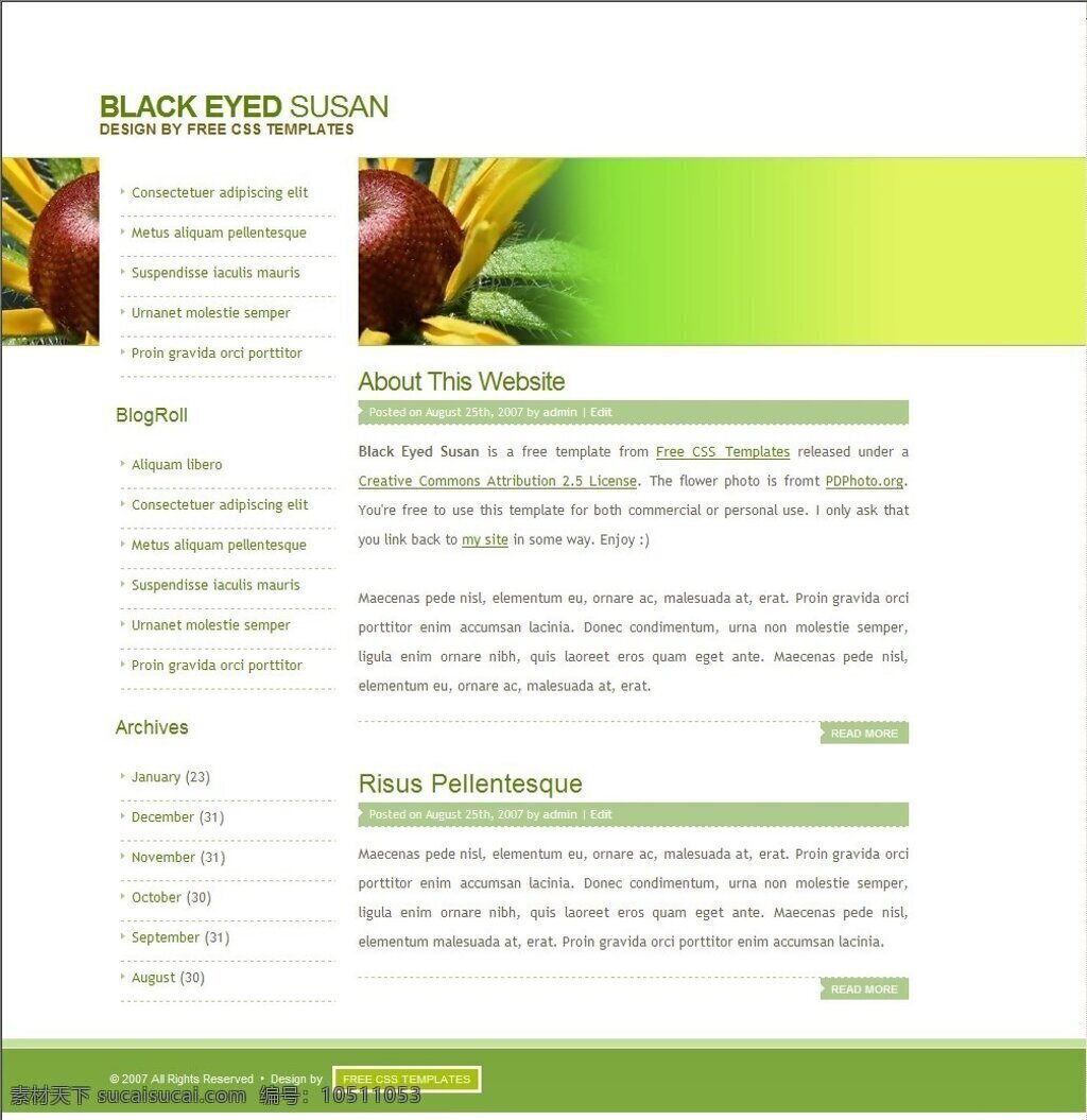 黑 眼睛 苏珊 blog 网页模板 谘劬 网页素材 网页代码
