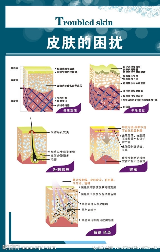 皮肤的困扰 皮肤科 健康理想 干燥老化 敏感 其他设计 矢量