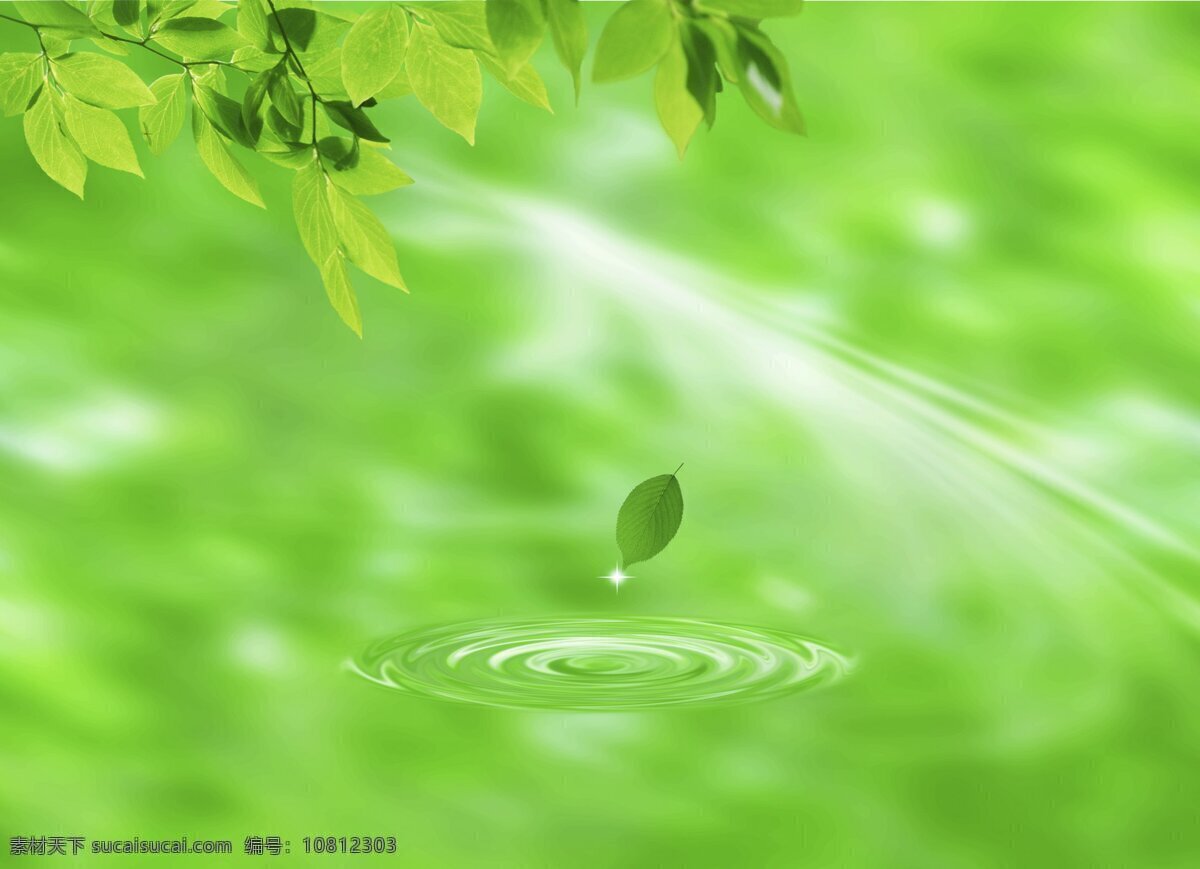 背景 波纹 绿叶 水滴 水滴绿叶 星光 自然风光 设计素材 模板下载 自然景观 psd源文件