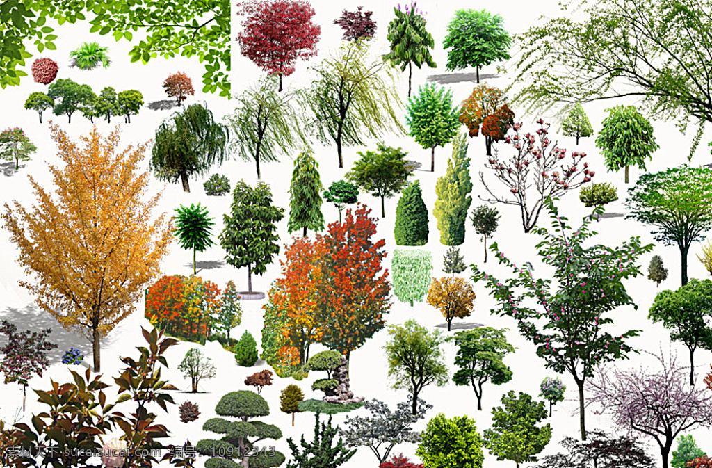 植物景观 psd素材 ps素材 景观植物 绿色植物 植物 植物素材 景观设计 造型 植物造型 ps分层素材 抠图素材 抠图 后期素材 后期制作素材 后期制作 设计用图 设计素材 共享素材 分层 白色