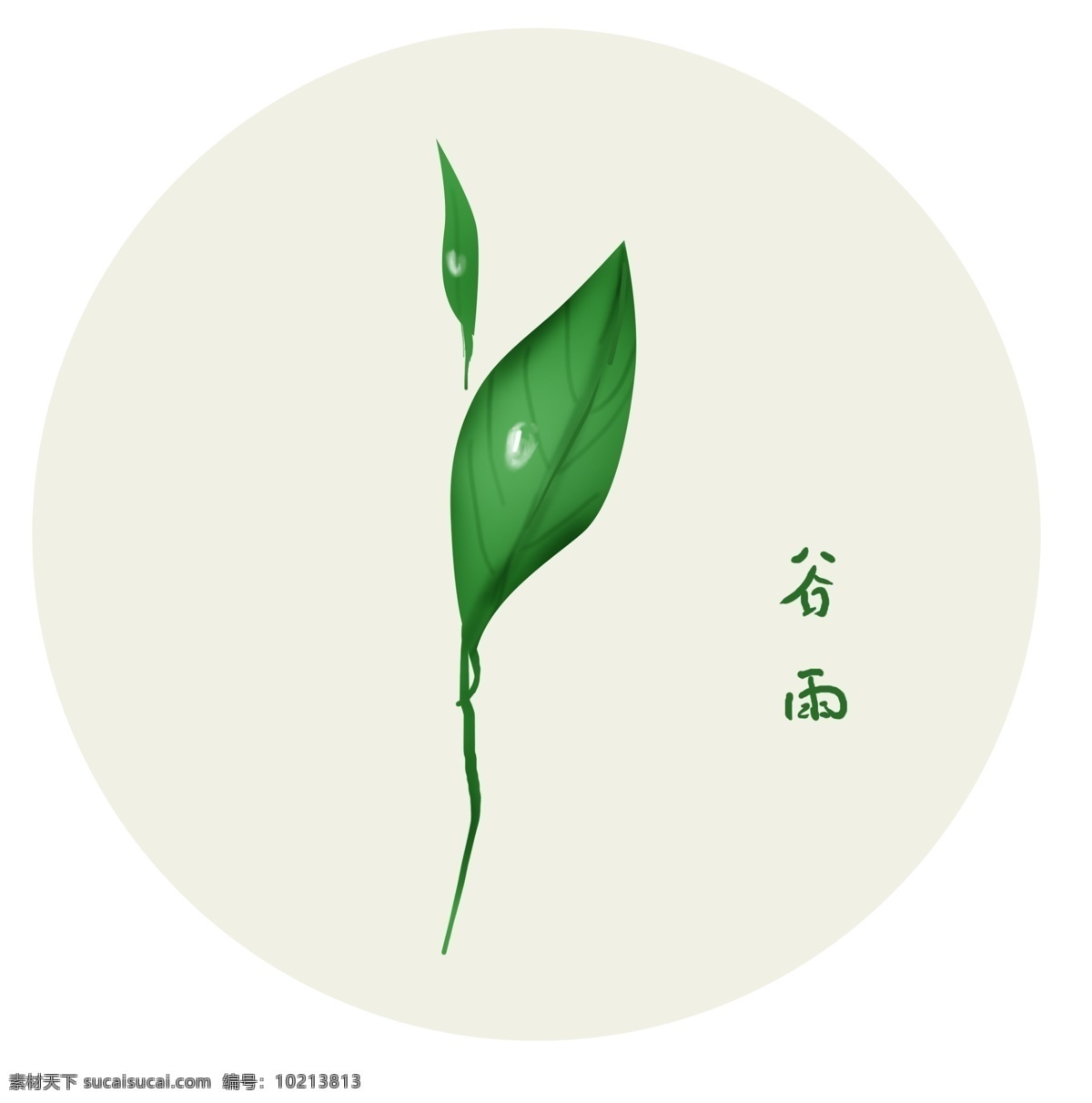 谷雨 手绘植物雨珠 中国风 节气 水墨 手绘 淡雅 叶子 雨滴 下雨 茶 古风 淡墨 彩绘 节日 茶叶 绿色