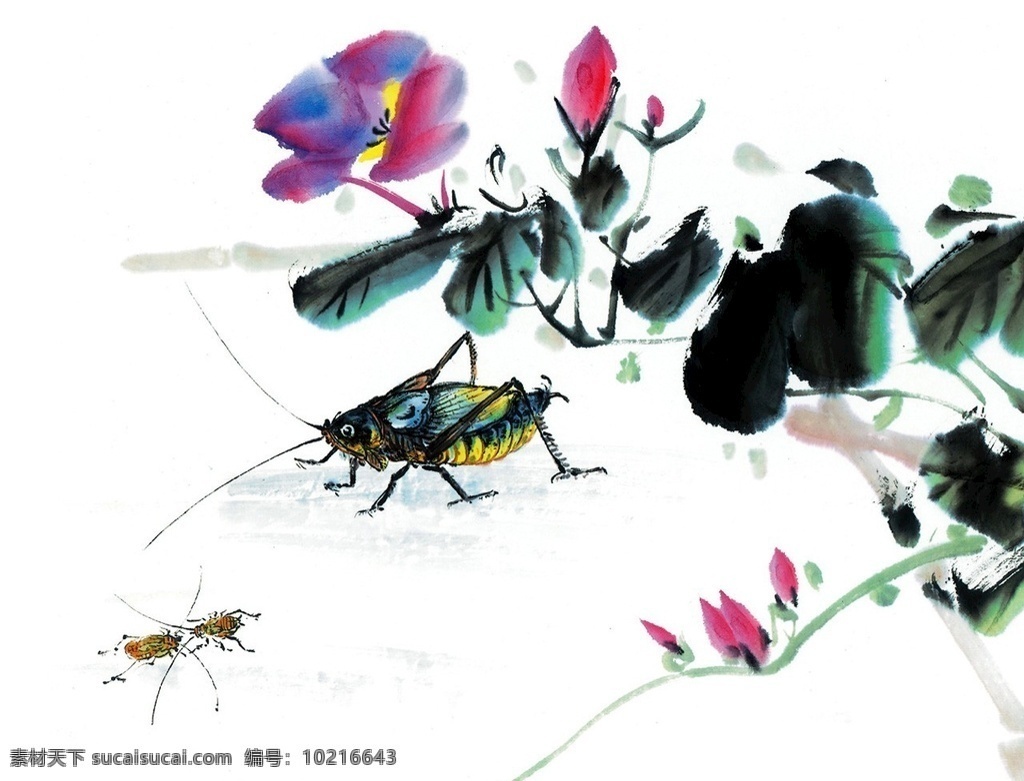 中国水墨画 中国 水墨画 修身养性 山水 蝉 梅花 清新脱俗