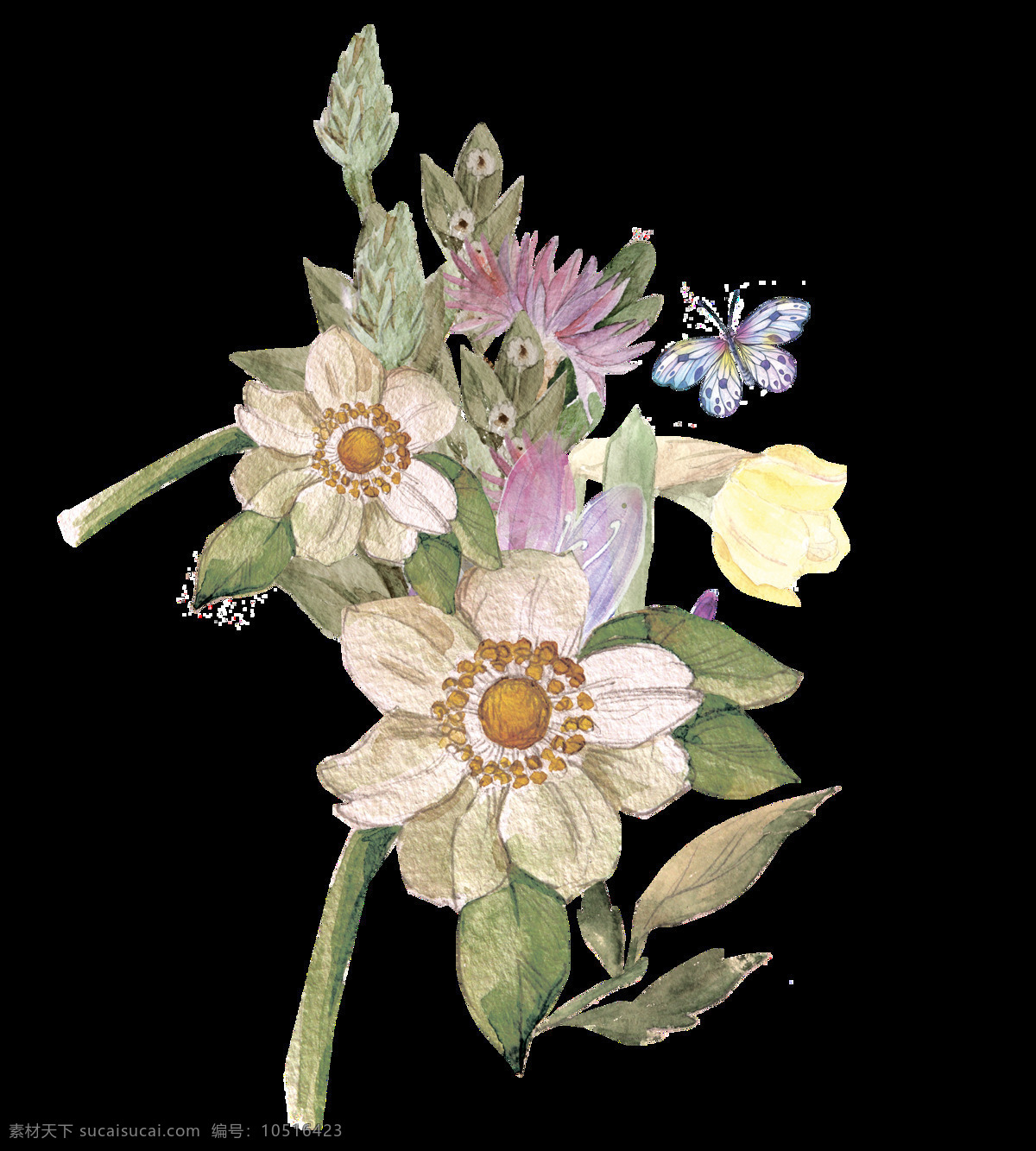 朴素 花卉 盛开 透明 卡通 抠图专用 装饰 设计素材
