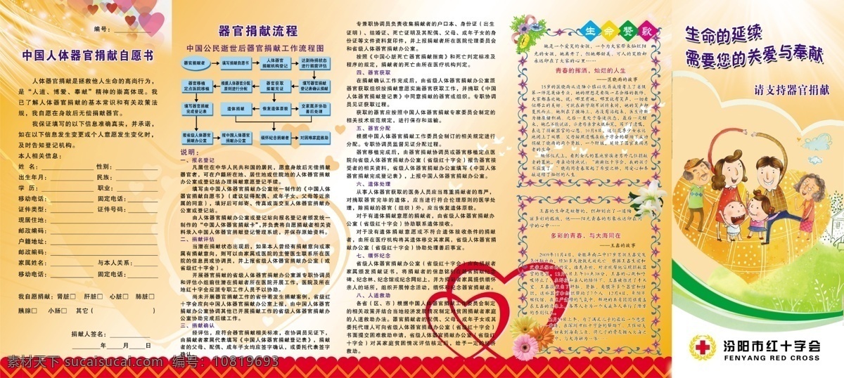人体 器官 捐献 流程图 红十字会 自愿 书 幸福家庭 器官捐献卡 说明 中国 红十字会标志 标志 气球 心 dm宣传单 广告设计模板 源文件