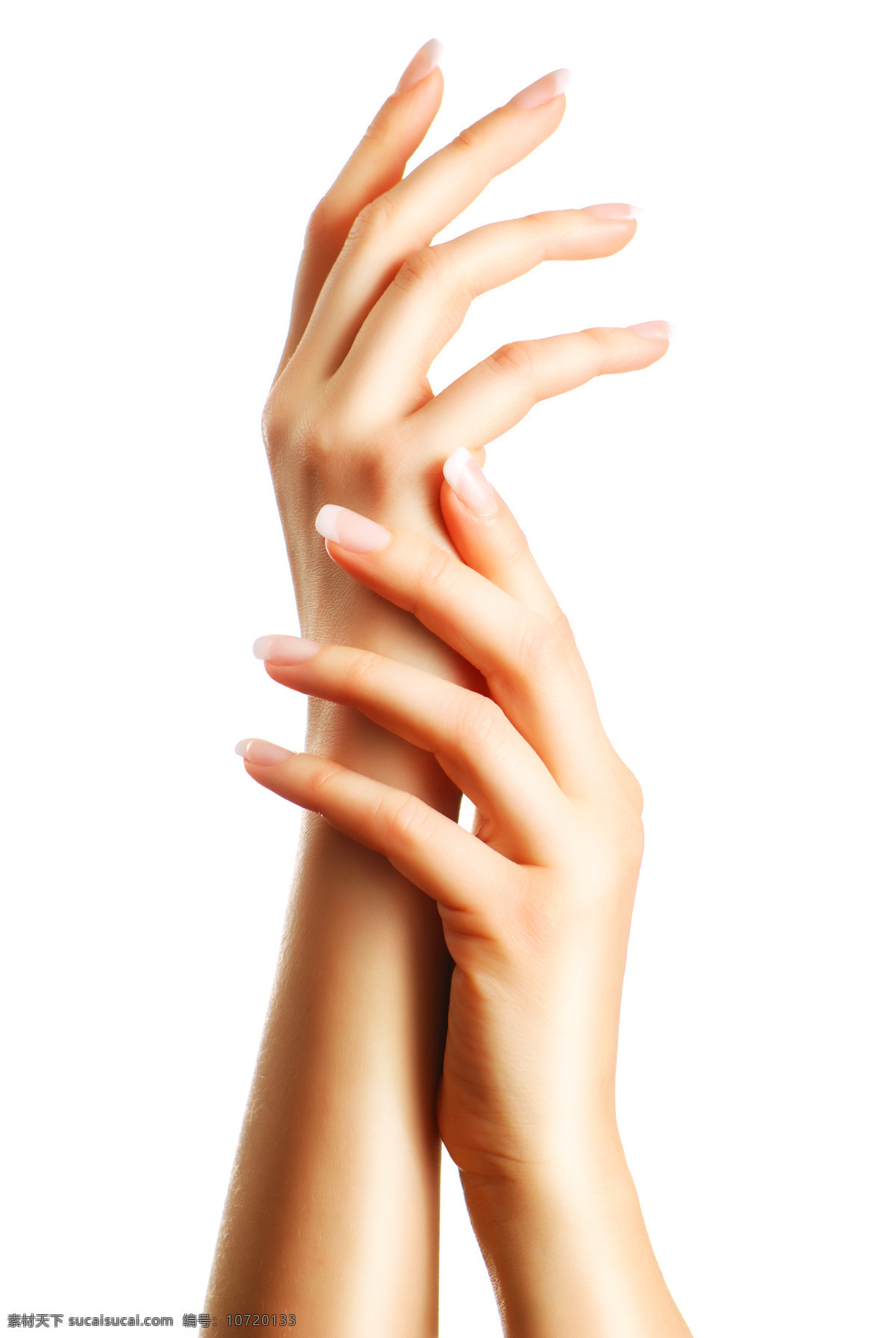 双 美手 特写 cosmetic 化妆品 手势 手 一双手 手模 纤纤玉指 手部护理 做护理 高清图片 人体器官图 人物图片