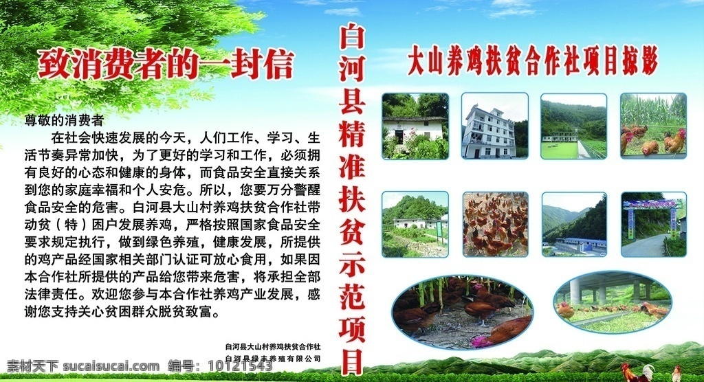 扶贫示范项目 项目摄影 致消费者的信 大山养鸡 脱贫致富 分层