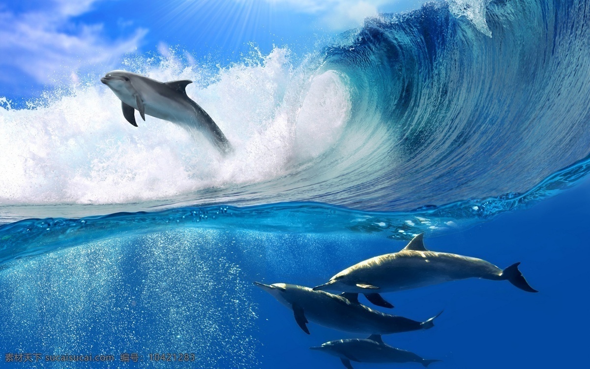 海豚 大浪 水下 海下 水面 海水 海面 背景 蓝色 涟漪 自然 户外 热带 平静 水纹 阳光 闪光 潜水 海浪 国外摄影 旅游摄影 国外旅游
