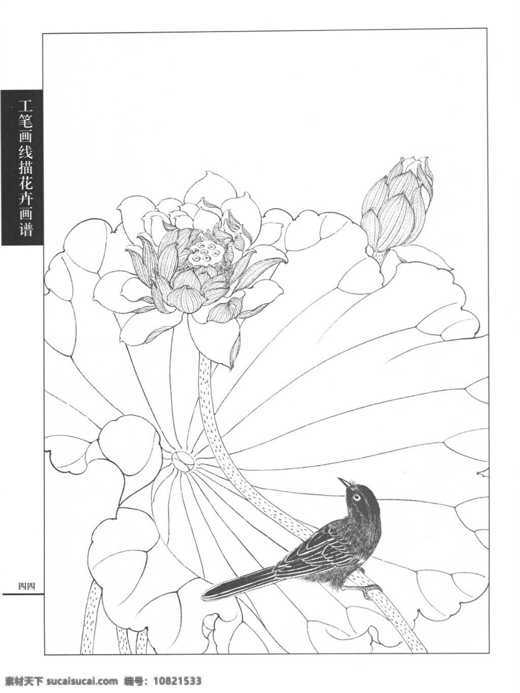工笔 荷花 白描 画谱 线描 绘画书法 文化艺术