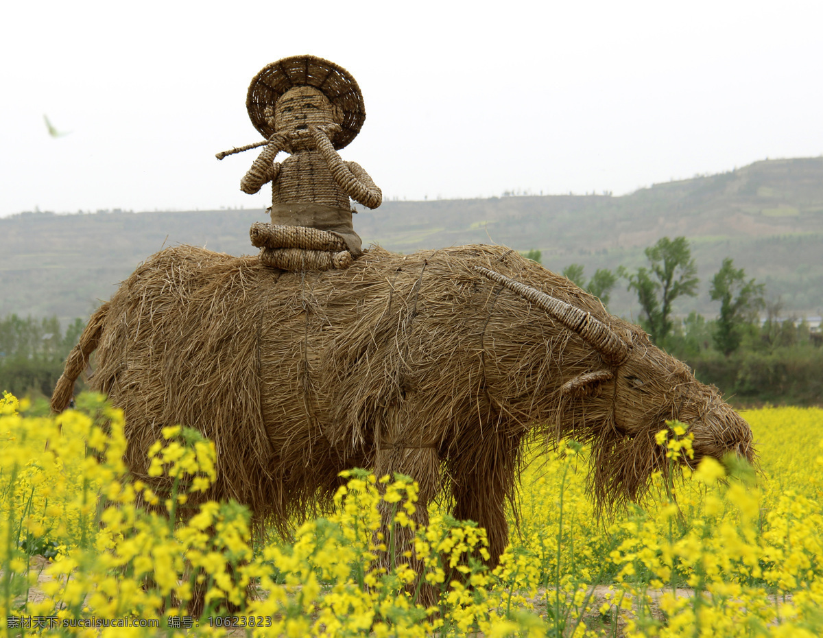 油菜花 小品 稻草人 赏花 牧童 旅游摄影 国内旅游