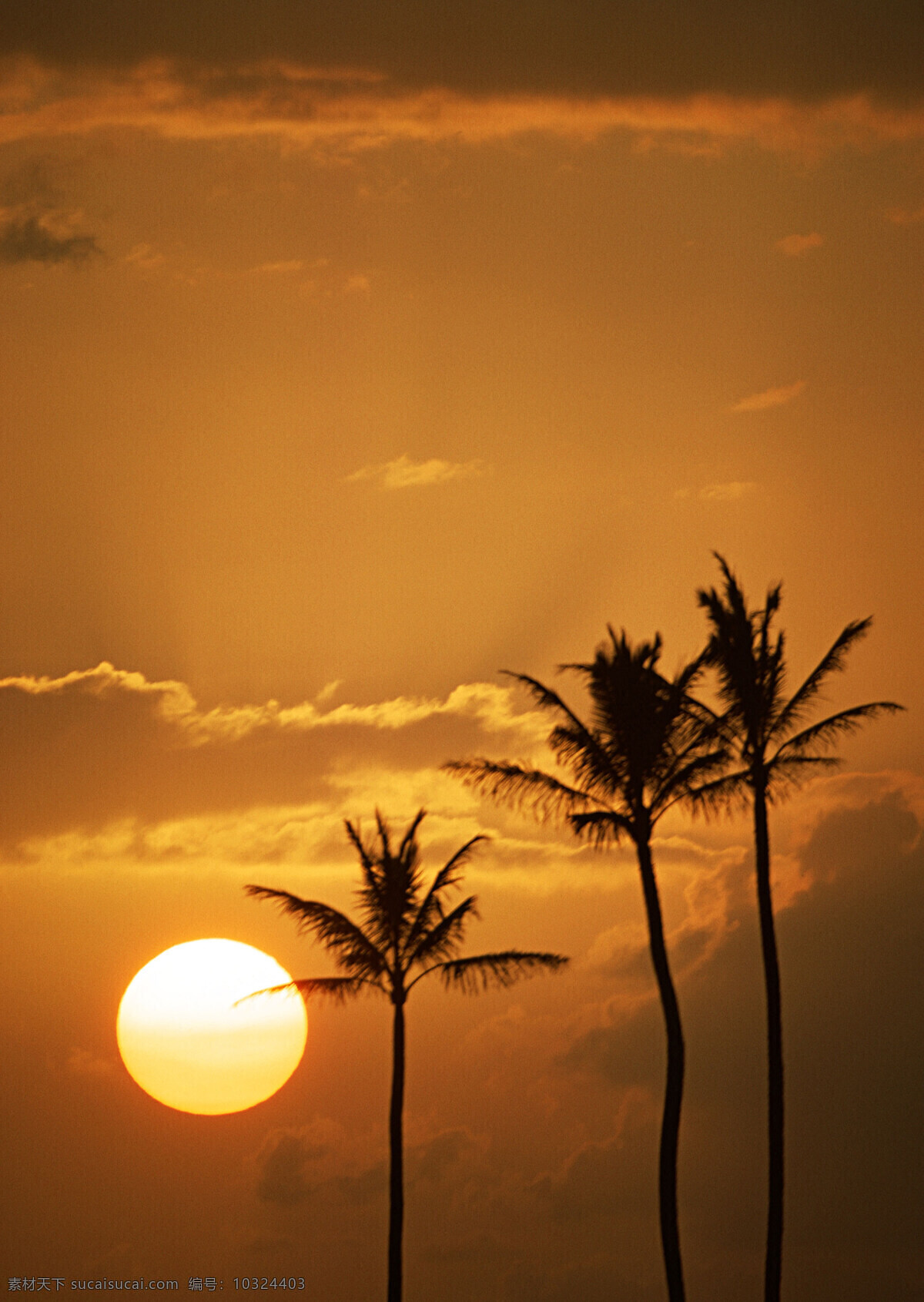 日出 日落 椰树 椰风 椰岛情 海天一色 美景 海边美景 自然景观
