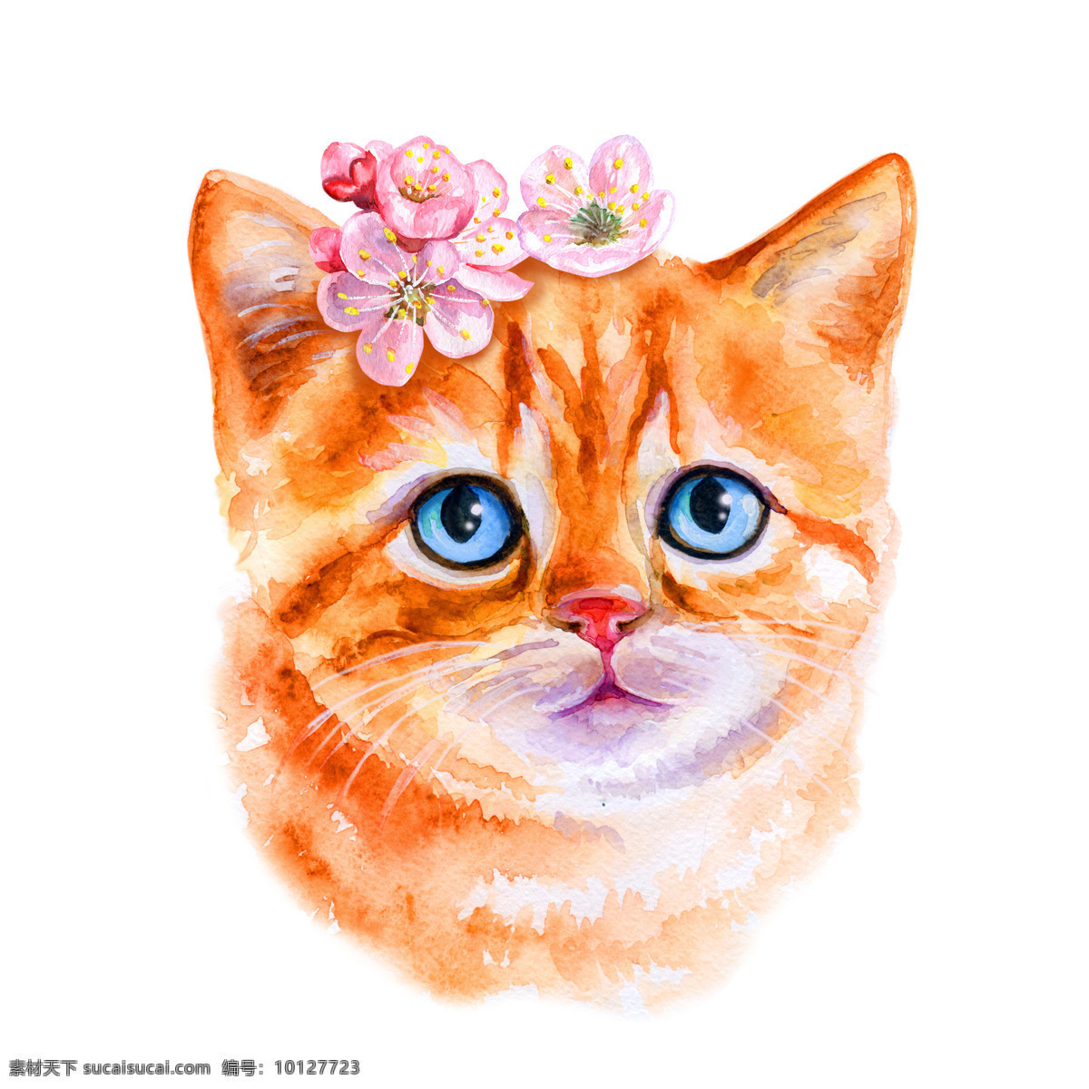 水彩 手绘 猫咪 插画