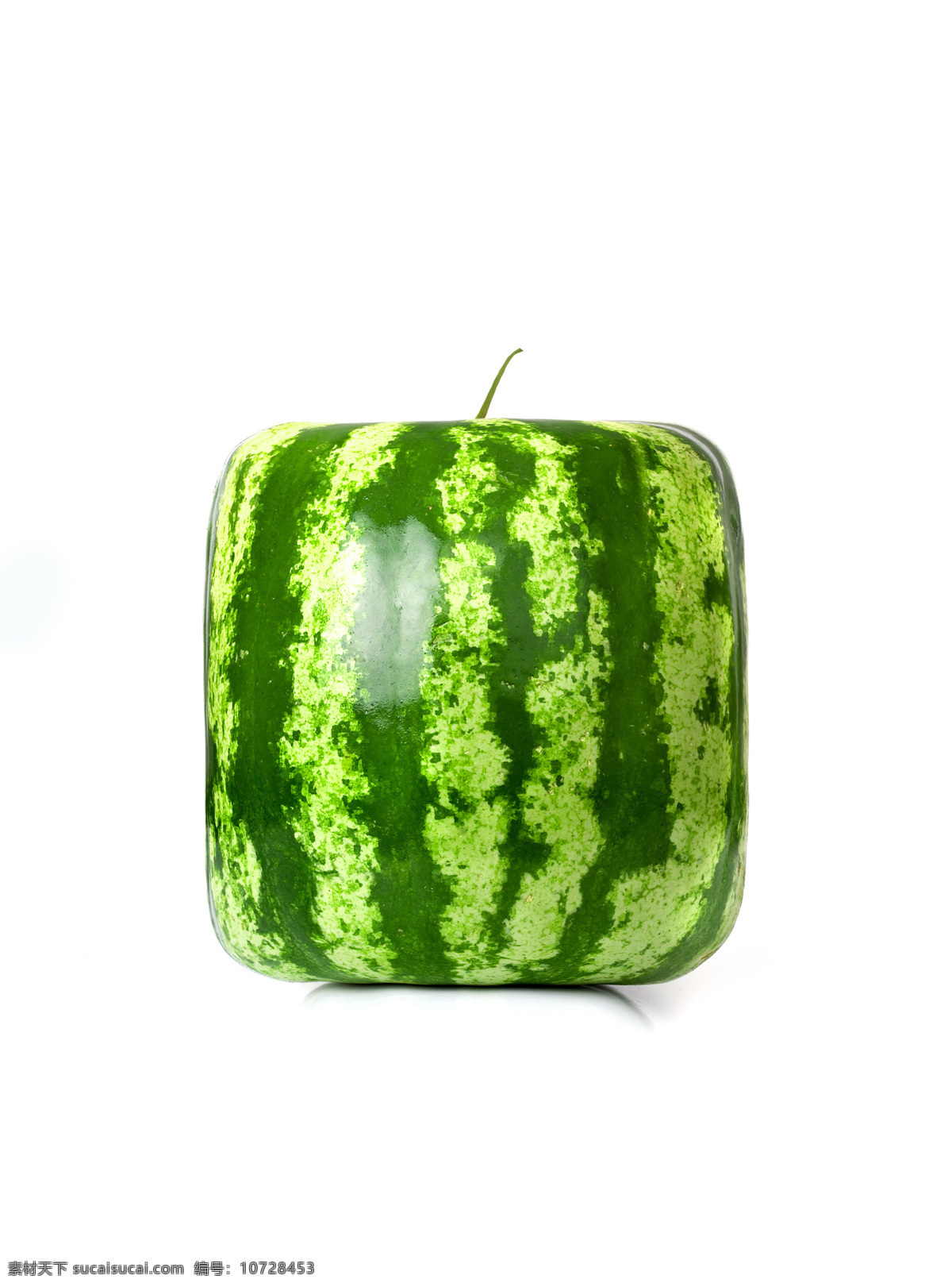 西瓜创意水果 西瓜 创意水果 水果广告 创意设计 时尚设计 创意广告 创新广告 生物世界 水果