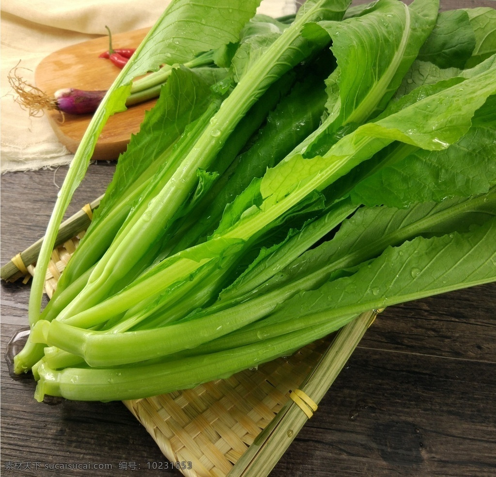 甜芥菜 芥菜 小芥菜 水芥菜菜 青菜 生物世界 蔬菜