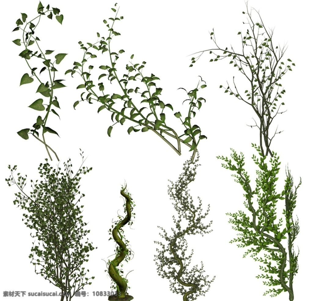 3d 植物 藤类 藤蔓 枝叶 园林素材 效果图素材 3d植物石头 分层