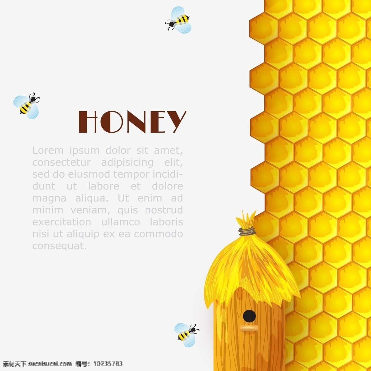 蜂蜜 蜜蜂 蜂巢 蜂窝 海报 封面 美食 花粉 设计素材 底纹边框 背景底纹