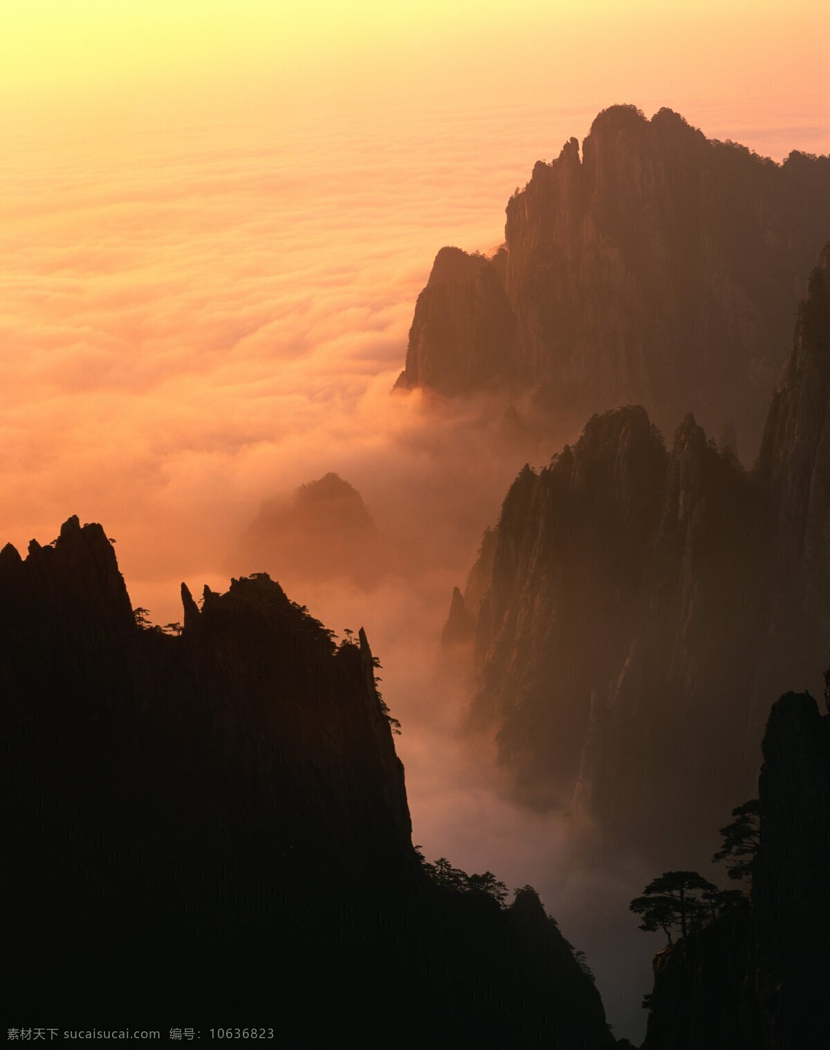 泰山日出 泰山 日出 云雾 火烧云 山峦 雾气 自然风景 自然景观