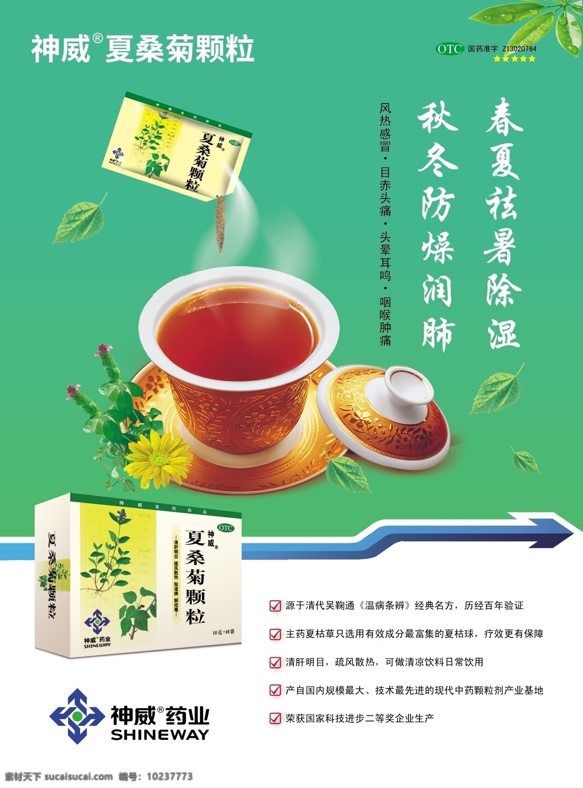 夏桑菊海报 夏桑菊 中草药 茶碗 海报 药材 树叶 绿色