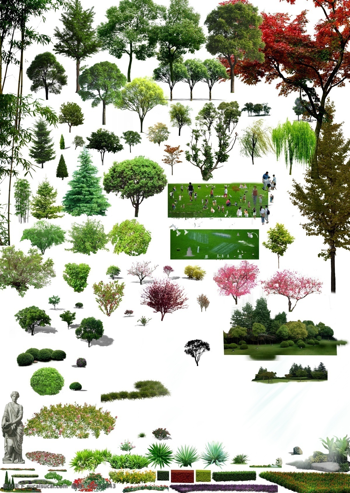 园林素材 树 花 草 植物 人 水 绿篱 花卉 草坪 精品树 园林设计 环境设计 源文件