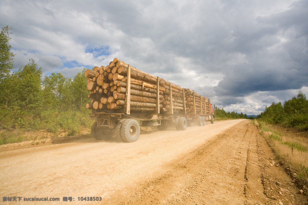 蓝天 下 一车 木头 伐木 树木 木材 砍伐 木工 电动工具 锯木工 其他类别 生活百科