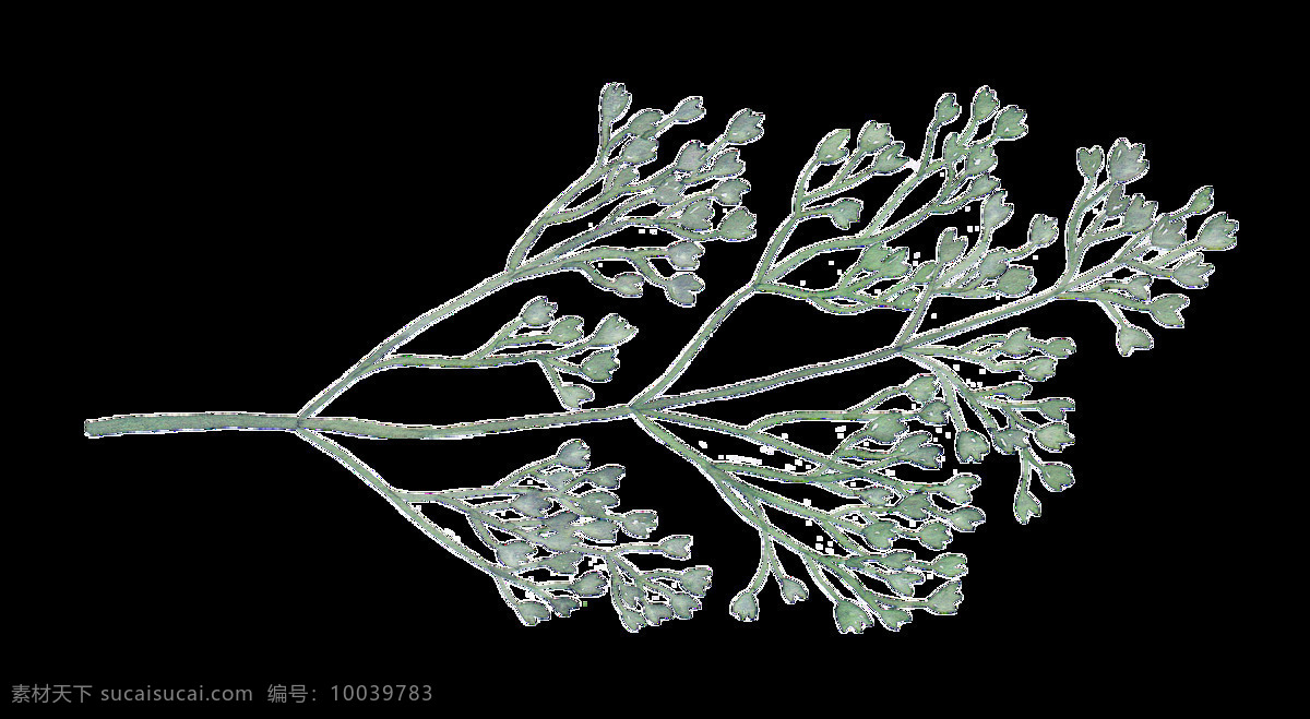 茂密 植物 透明 水彩 卡通 免扣 手绘 透明素材 装饰 设计素材 淘宝素材 海报设计装饰 装饰图案