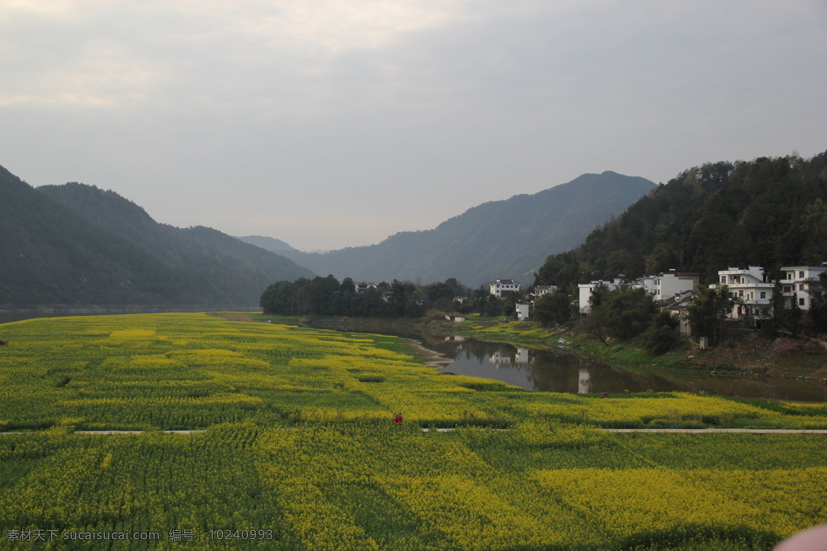 婺源风光 婺源风景 乡村自然风光 婺源 油菜花 婺源摄影 婺源游记 江西婺源 乡村摄影 古镇 小镇 乡村 田园风光 古徽州 风景 江西风景 婺源油菜花 旅游摄影 国内旅游