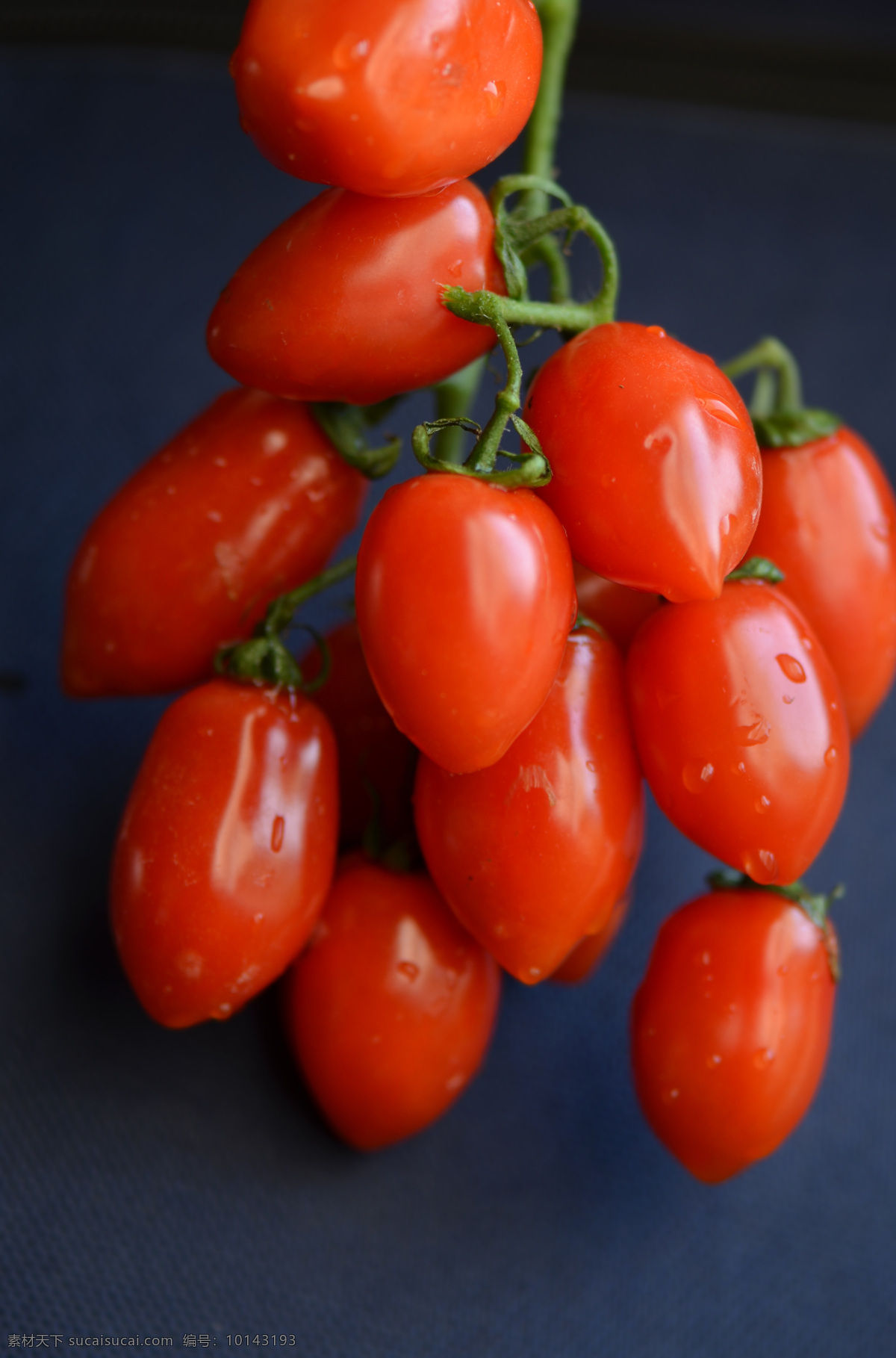 樱桃番茄 樱桃 番茄 美食 成串 红番茄 蓝背景 红色 新鲜 水果 生物世界