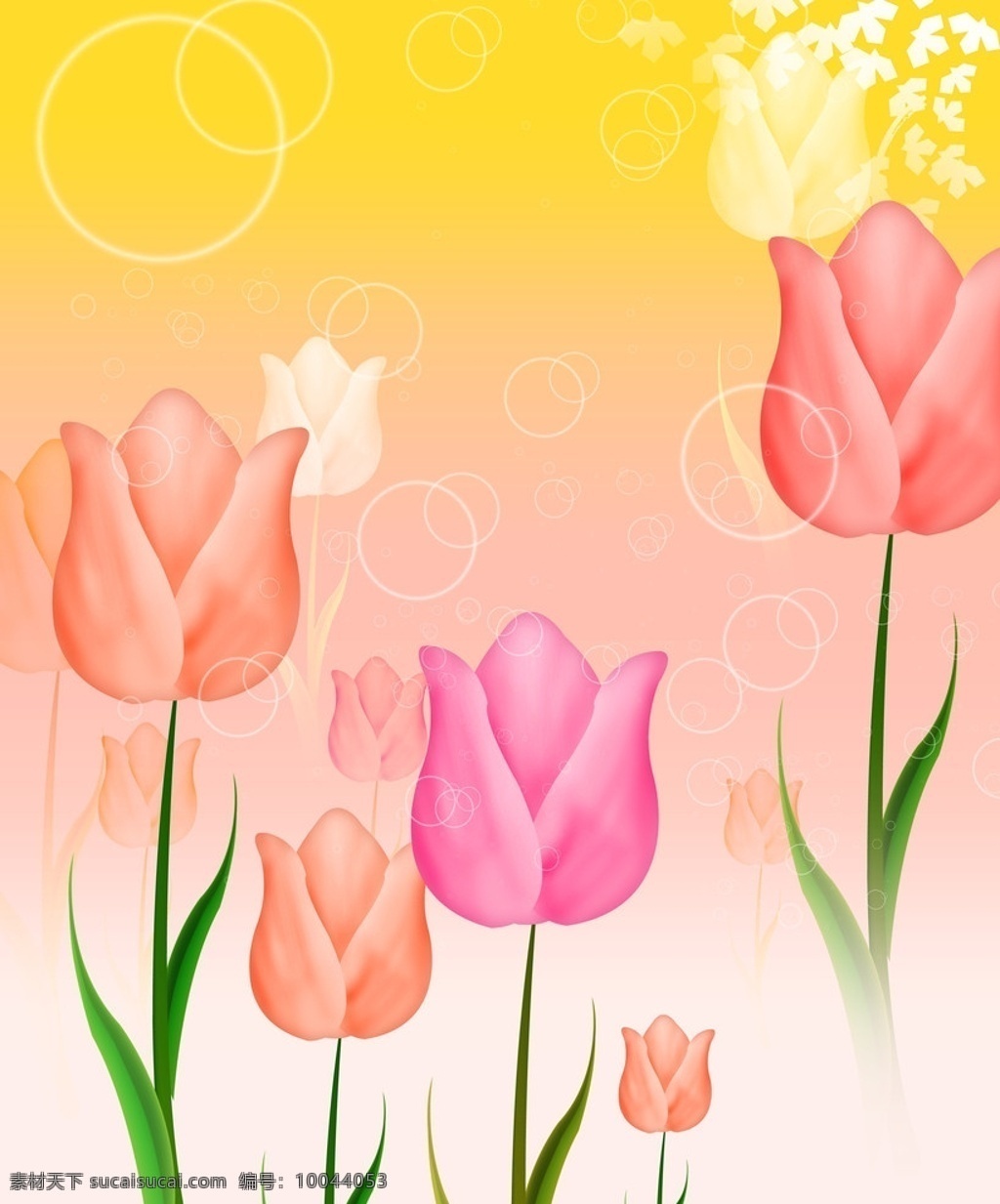 郁金香 郁金香花 花 花边 小花 欧式风格 花纹 花背影 背景素材 分层 源文件